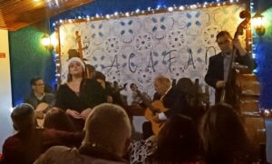 Jantar de Natal com Fado - 09-12-2023 - 08