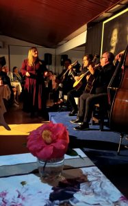 Noite de Fado - Dia Internacional da Mulher - 07-03-2026 - 03